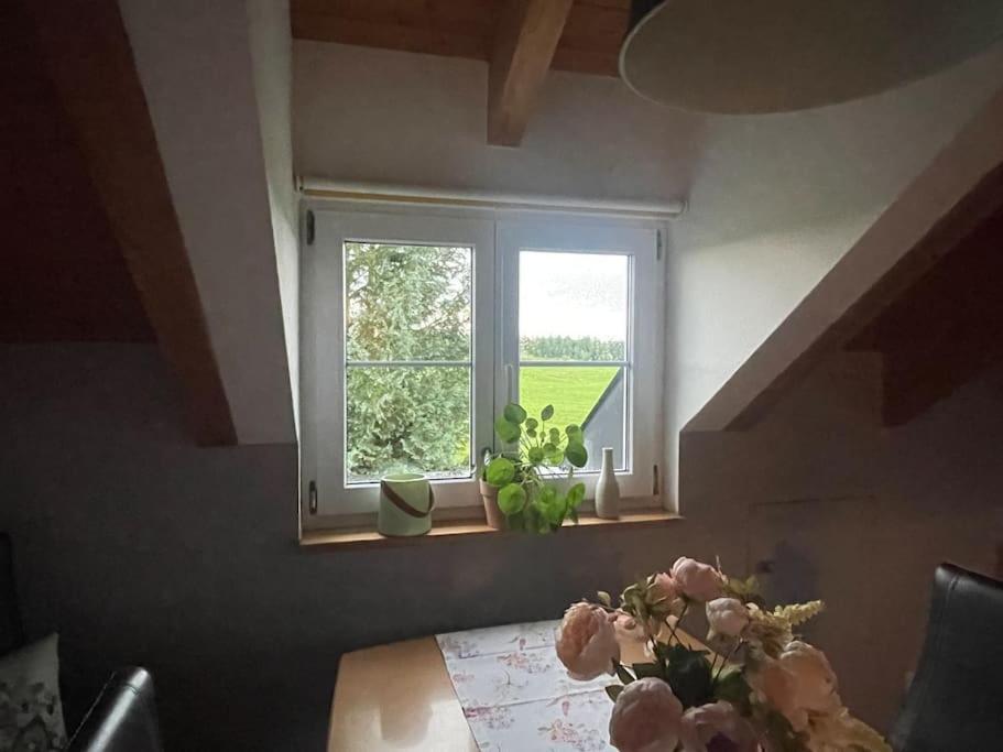 Panorama Saentisblick Apartment Hergatz Exterior foto