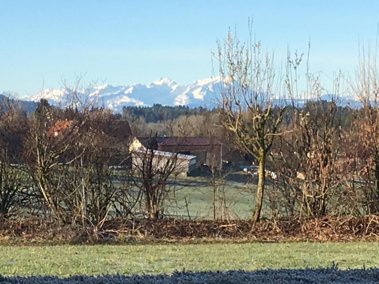 Panorama Saentisblick Apartment Hergatz Exterior foto